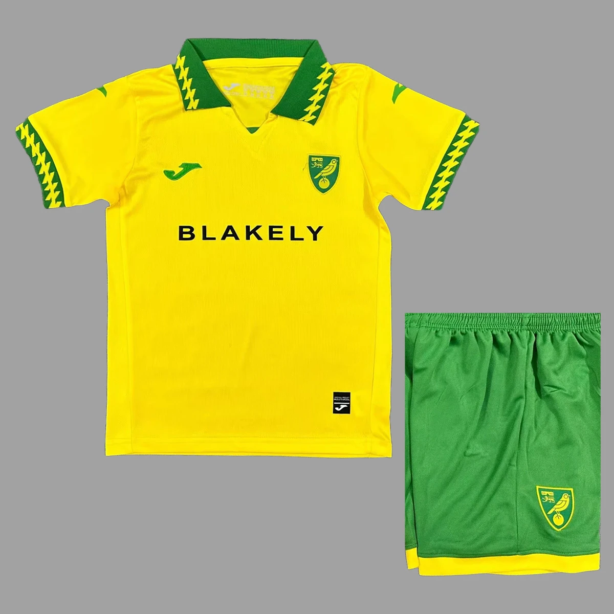 25/26 Norwich City Home Kids Soccer Jersey Size 16-28