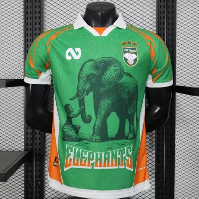 2025 Ivory Coast Special Player Version Green Soccer Jersey