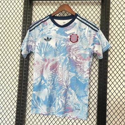 2026 Costa Rica Away Soccer Jersey