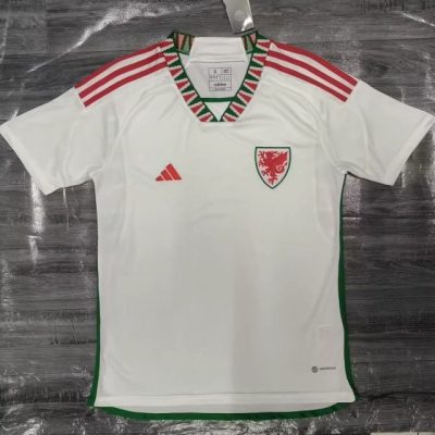2022 Wales away