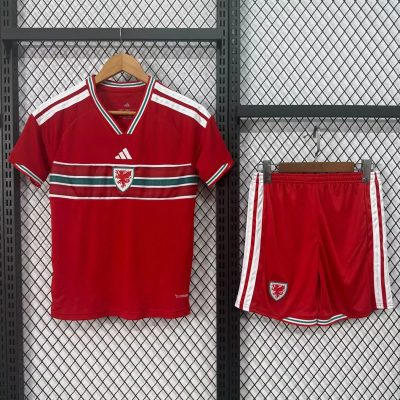 2026 Wales Home Kids Soccer Jersey Size 16-28