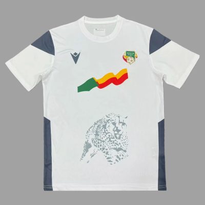2023 Benin Away Soccer Jersey