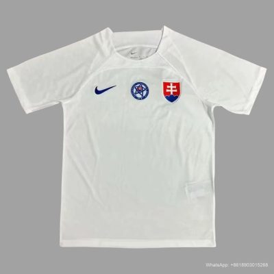 2024 Slovak away soccer jersey