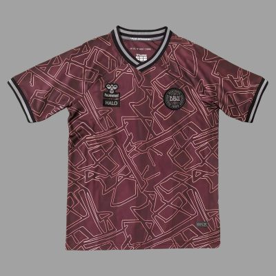 2024 Denmark Special Version Soccer Jersey