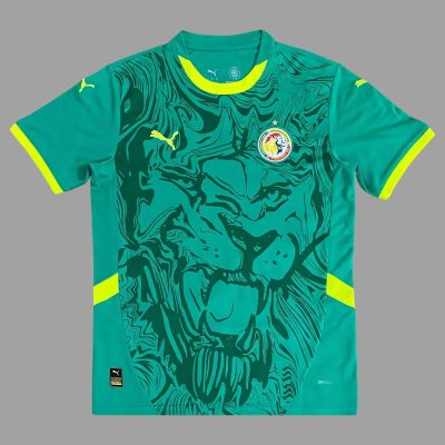 2025 Senegal Away Soccer Jersey