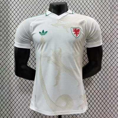 2026 Wales Away Player Version Soccer Jersey