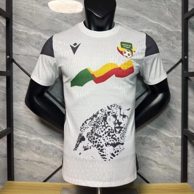 2023 Benin Away Player Version Soccer Jersey