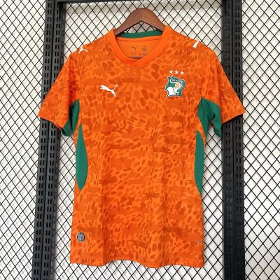 2026 Ivory Coast Home Soccer Jersey