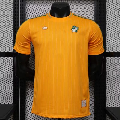 2025 Ivory Coast Icons Orange Soccer Jersey
