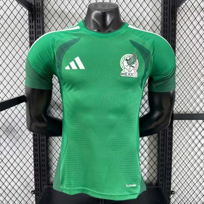 2026 Mexico Training 3 Player Version Soccer Jersey