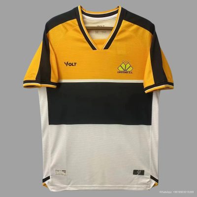 24/25 Criciuma home soccer jersey