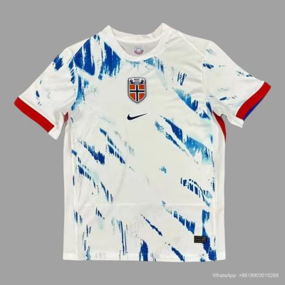 2024 Norway away soccer jersey