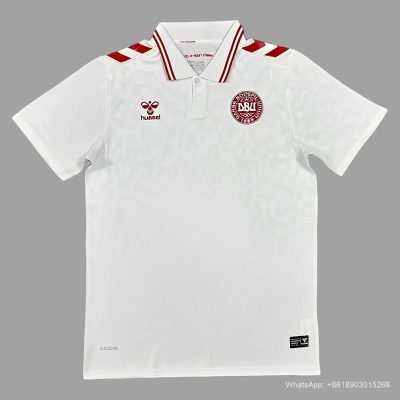 2024 Denmark away soccer jersey