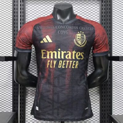 23/24 Arsenal 20th Anniversary of the Invincibles Special Player Version Soccer Jersey