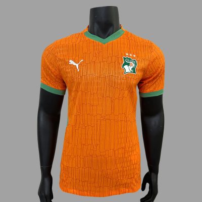 2025 Ivory Coast Home Player Version Soccer Jersey